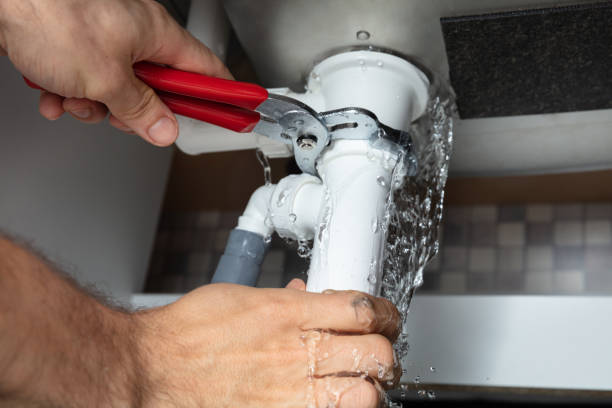 Best Mold removal after water damage  in Fruit Hill, OH