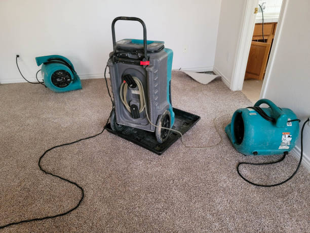 Best Professional water damage repair  in Fruit Hill, OH