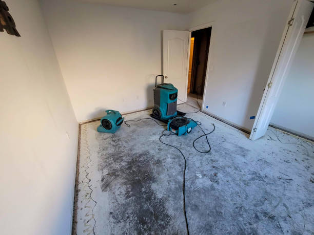 Best Sewage cleanup and water damage restoration  in Fruit Hill, OH