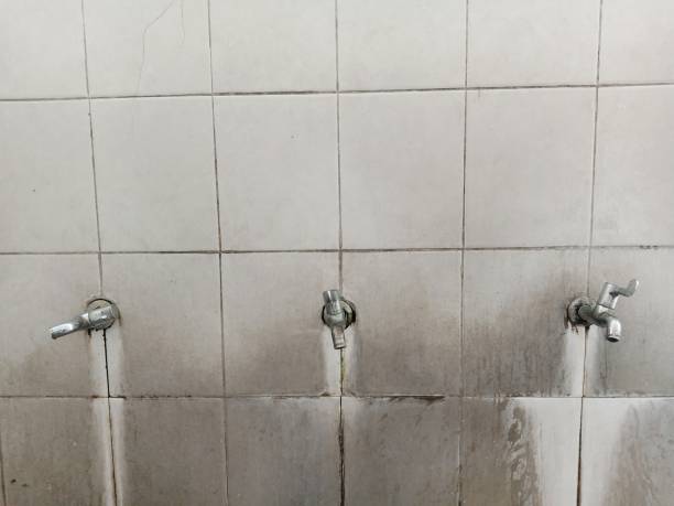 Best Water damage restoration cost  in Fruit Hill, OH