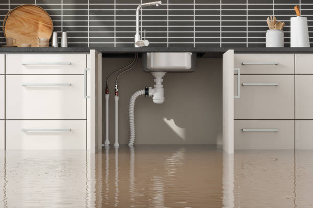 Best Basement water damage restoration  in Fruit Hill, OH