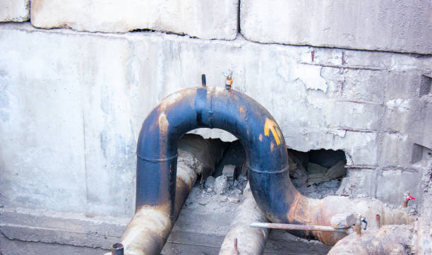 Best Water damage contractors near me  in Fruit Hill, OH