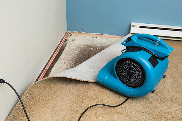 Best Water damage restoration mold remediation  in Fruit Hill, OH